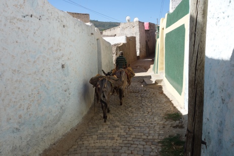 A man walks his donkeys through Harar's winding laneways.