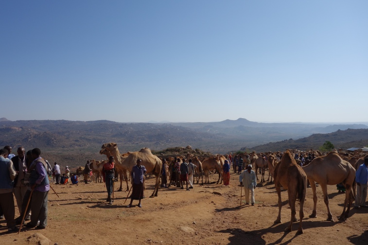 The camel market in Babile.