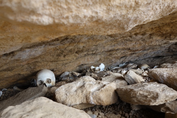 Pilgrims' skulls are scattered around the cliff.