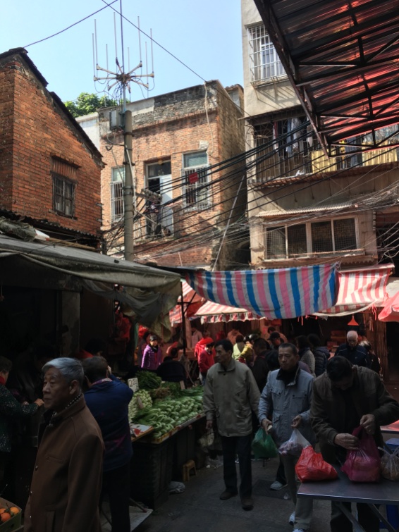 One of the many hidden wet markets in Guangzhou. This could be a scene from many developing countries but the reality is that it's in one of the most modern cities in the world.