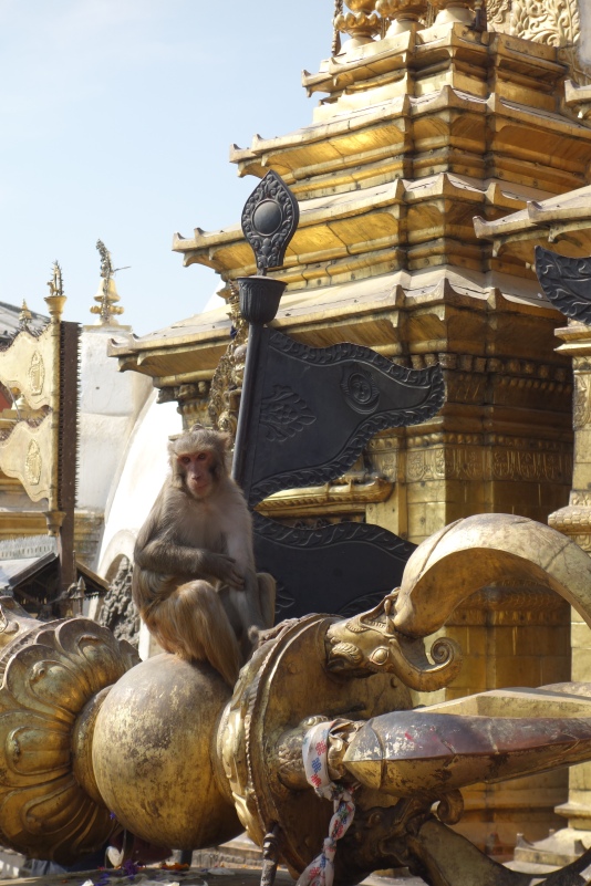 Monkeys perched on Swayambhanath.